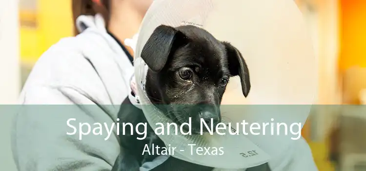 Spaying and Neutering Altair - Texas