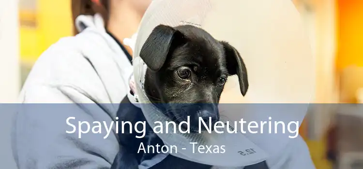 Spaying and Neutering Anton - Texas