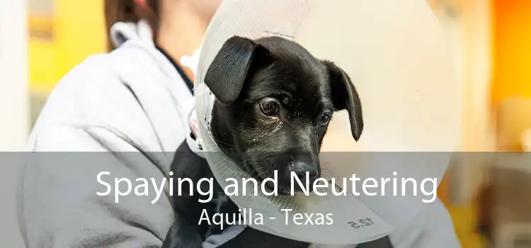 Spaying and Neutering Aquilla - Texas
