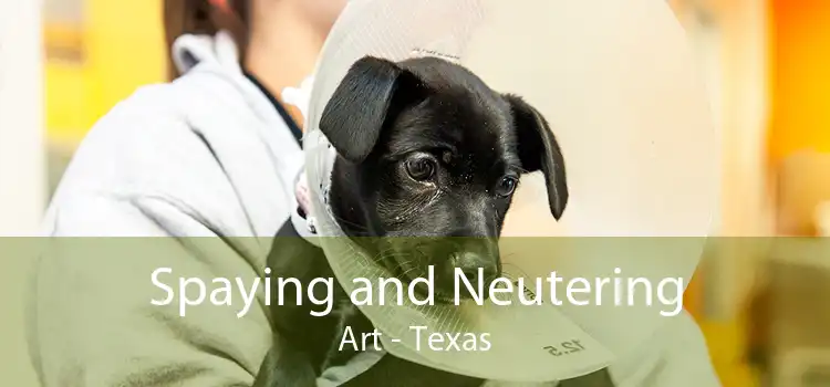 Spaying and Neutering Art - Texas