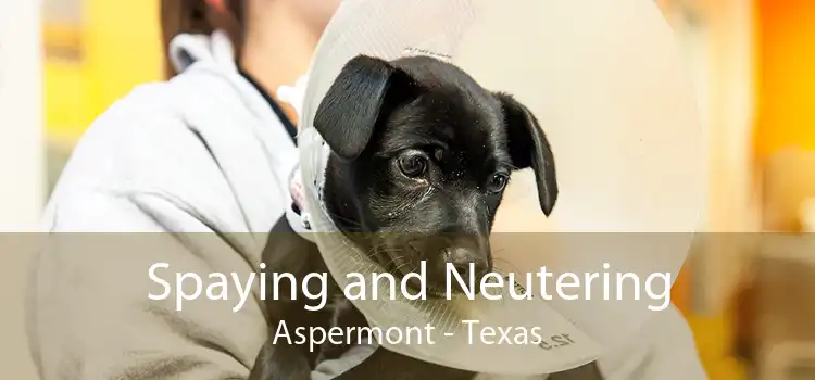 Spaying and Neutering Aspermont - Texas