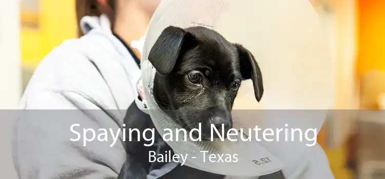 Spaying and Neutering Bailey - Texas