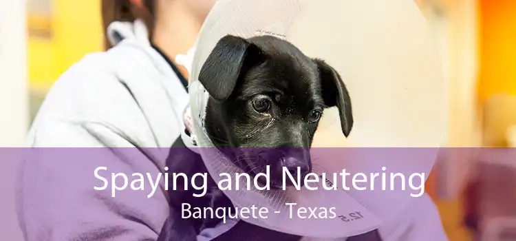 Spaying and Neutering Banquete - Texas