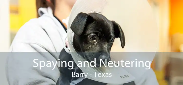 Spaying and Neutering Barry - Texas