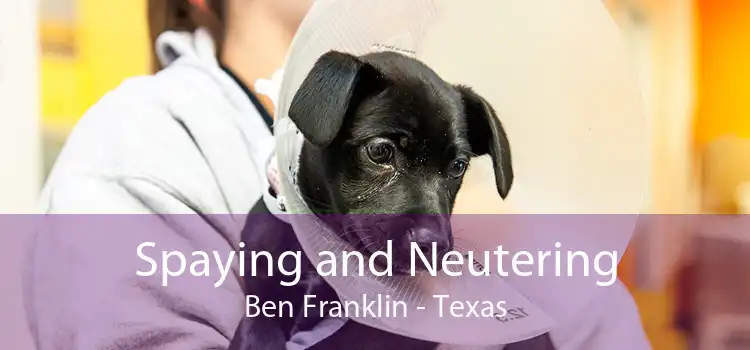 Spaying and Neutering Ben Franklin - Texas
