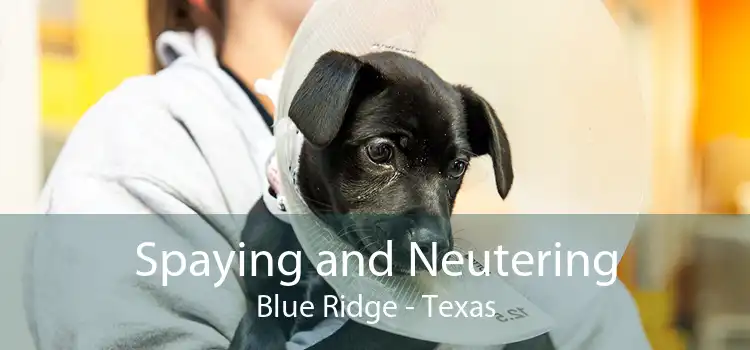 Spaying and Neutering Blue Ridge - Texas