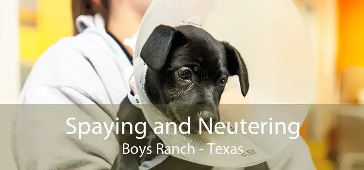 Spaying and Neutering Boys Ranch - Texas