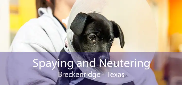 Spaying and Neutering Breckenridge - Texas