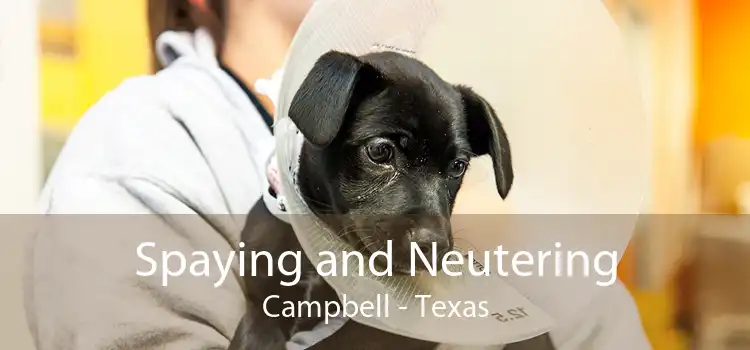 Spaying and Neutering Campbell - Texas