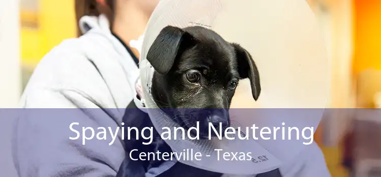 Spaying and Neutering Centerville - Texas