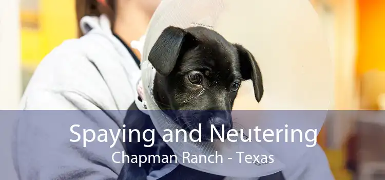 Spaying and Neutering Chapman Ranch - Texas