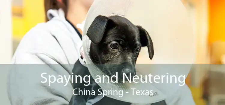 Spaying and Neutering China Spring - Texas