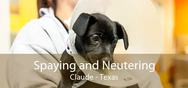 Spaying and Neutering Claude - Texas