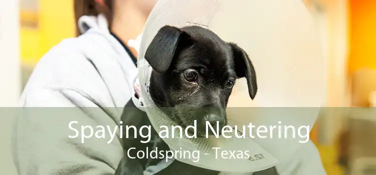 Spaying and Neutering Coldspring - Texas