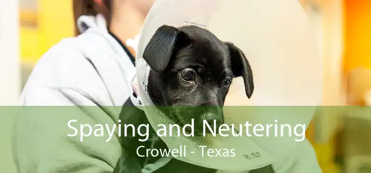 Spaying and Neutering Crowell - Texas
