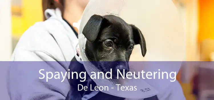 Spaying and Neutering De Leon - Texas