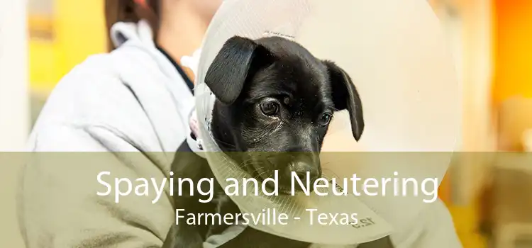 Spaying and Neutering Farmersville - Texas