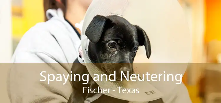 Spaying and Neutering Fischer - Texas