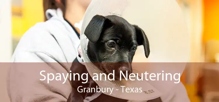 Spaying and Neutering Granbury - Texas