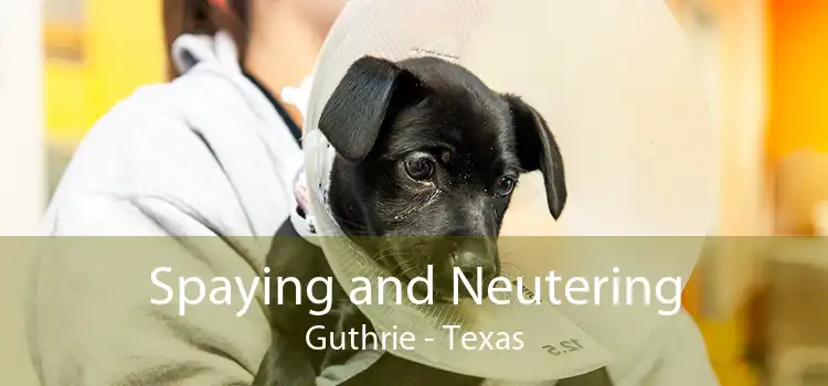 Spaying and Neutering Guthrie - Texas