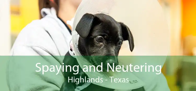 Spaying and Neutering Highlands - Texas