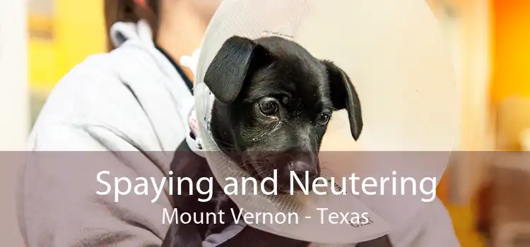 Spaying and Neutering Mount Vernon - Texas