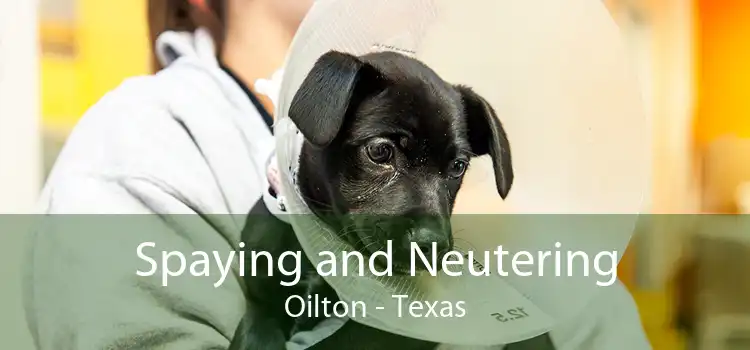 Spaying and Neutering Oilton - Texas