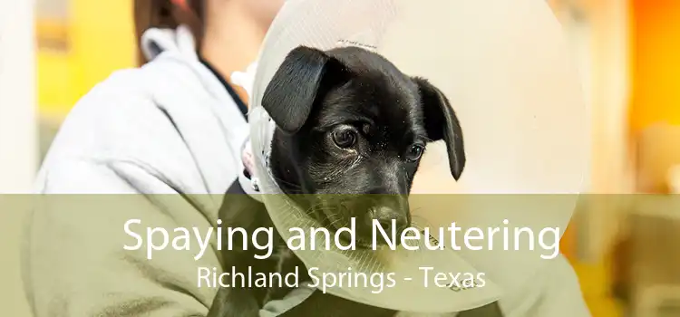 Spaying and Neutering Richland Springs - Texas
