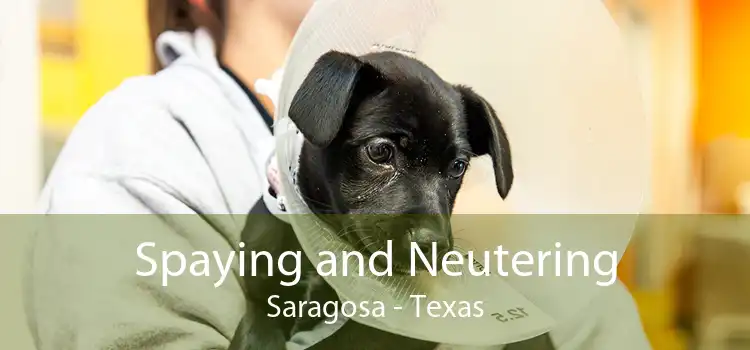 Spaying and Neutering Saragosa - Texas