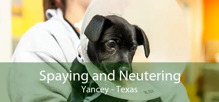 Spaying and Neutering Yancey - Texas