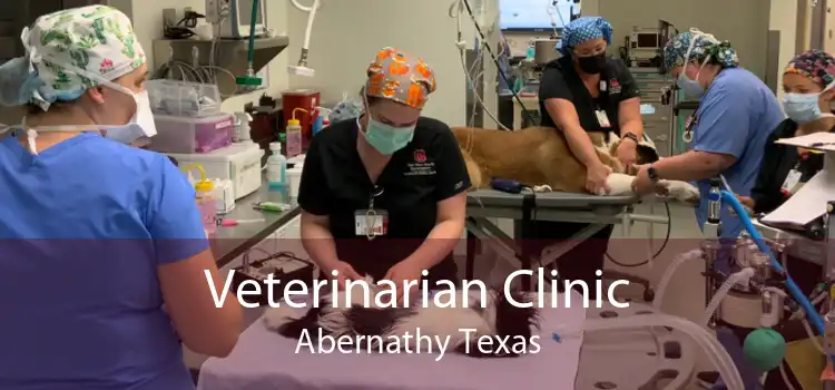Veterinarian Clinic Abernathy Texas