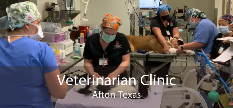 Veterinarian Clinic Afton Texas