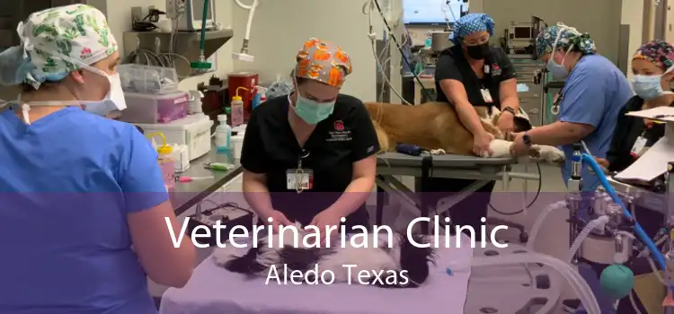 Veterinarian Clinic Aledo Texas