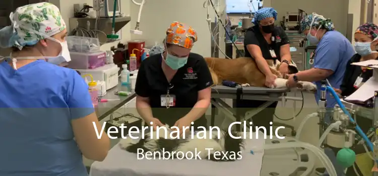 Veterinarian Clinic Benbrook Texas