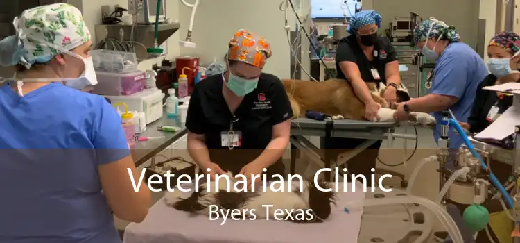 Veterinarian Clinic Byers Texas
