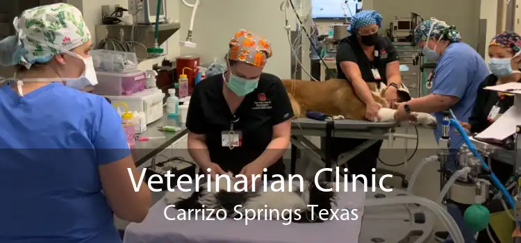 Veterinarian Clinic Carrizo Springs Texas