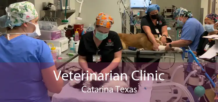 Veterinarian Clinic Catarina Texas