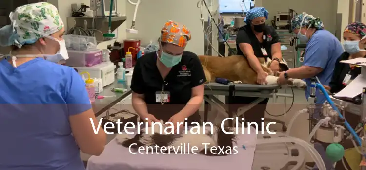 Veterinarian Clinic Centerville Texas