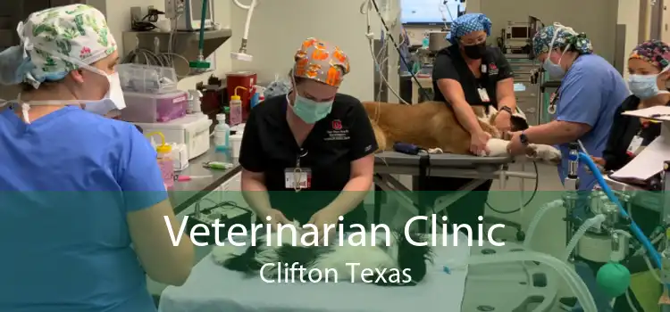 Veterinarian Clinic Clifton Texas