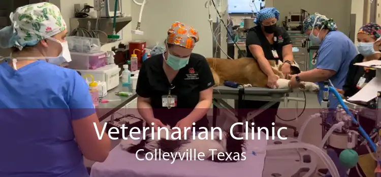 Veterinarian Clinic Colleyville Texas