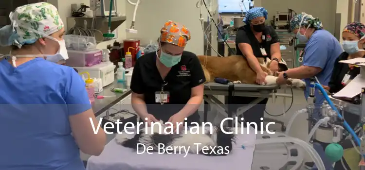 Veterinarian Clinic De Berry Texas