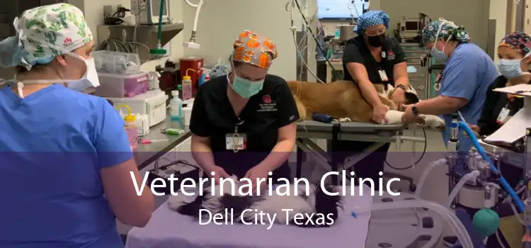 Veterinarian Clinic Dell City Texas