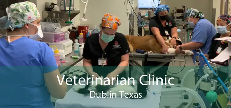 Veterinarian Clinic Dublin Texas
