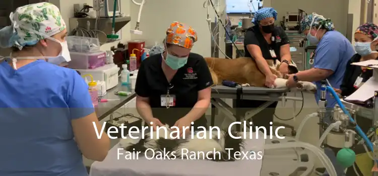 Veterinarian Clinic Fair Oaks Ranch Texas