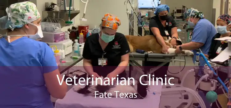 Veterinarian Clinic Fate Texas