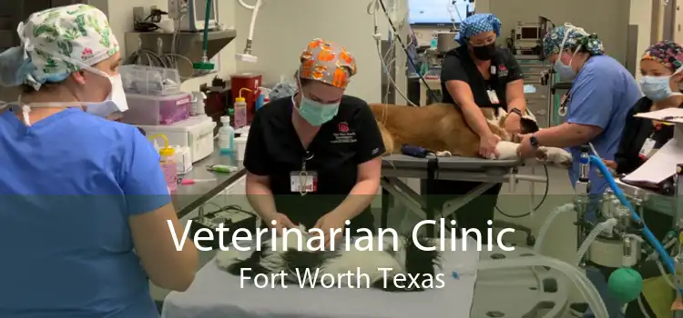 Veterinarian Clinic Fort Worth Texas