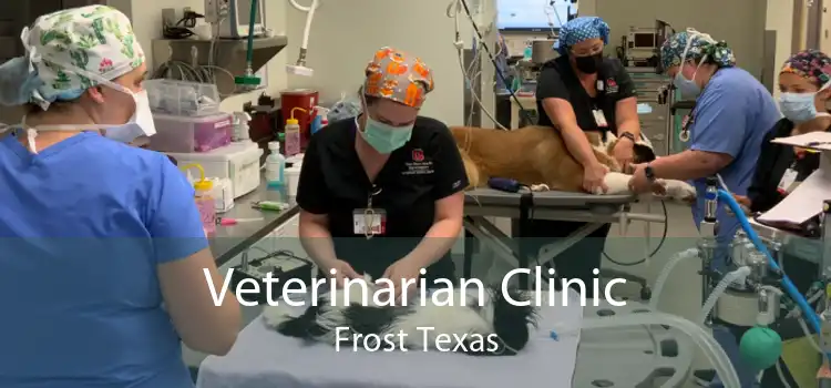 Veterinarian Clinic Frost Texas
