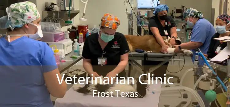 Veterinarian Clinic Frost Texas