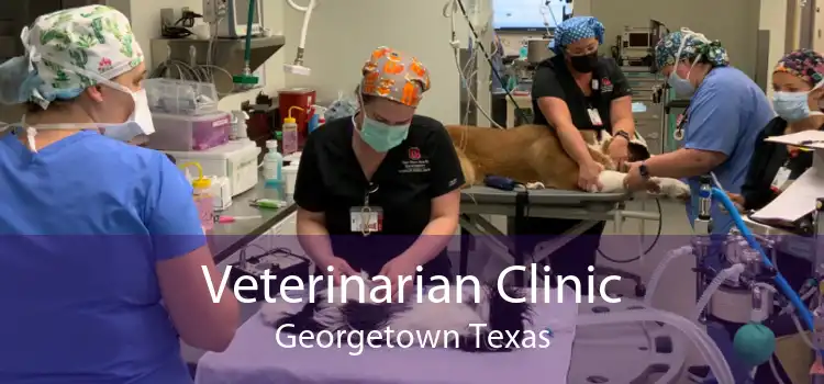 Veterinarian Clinic Georgetown Texas