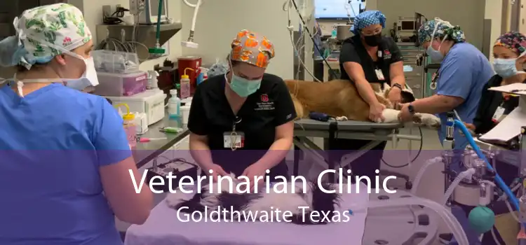 Veterinarian Clinic Goldthwaite Texas